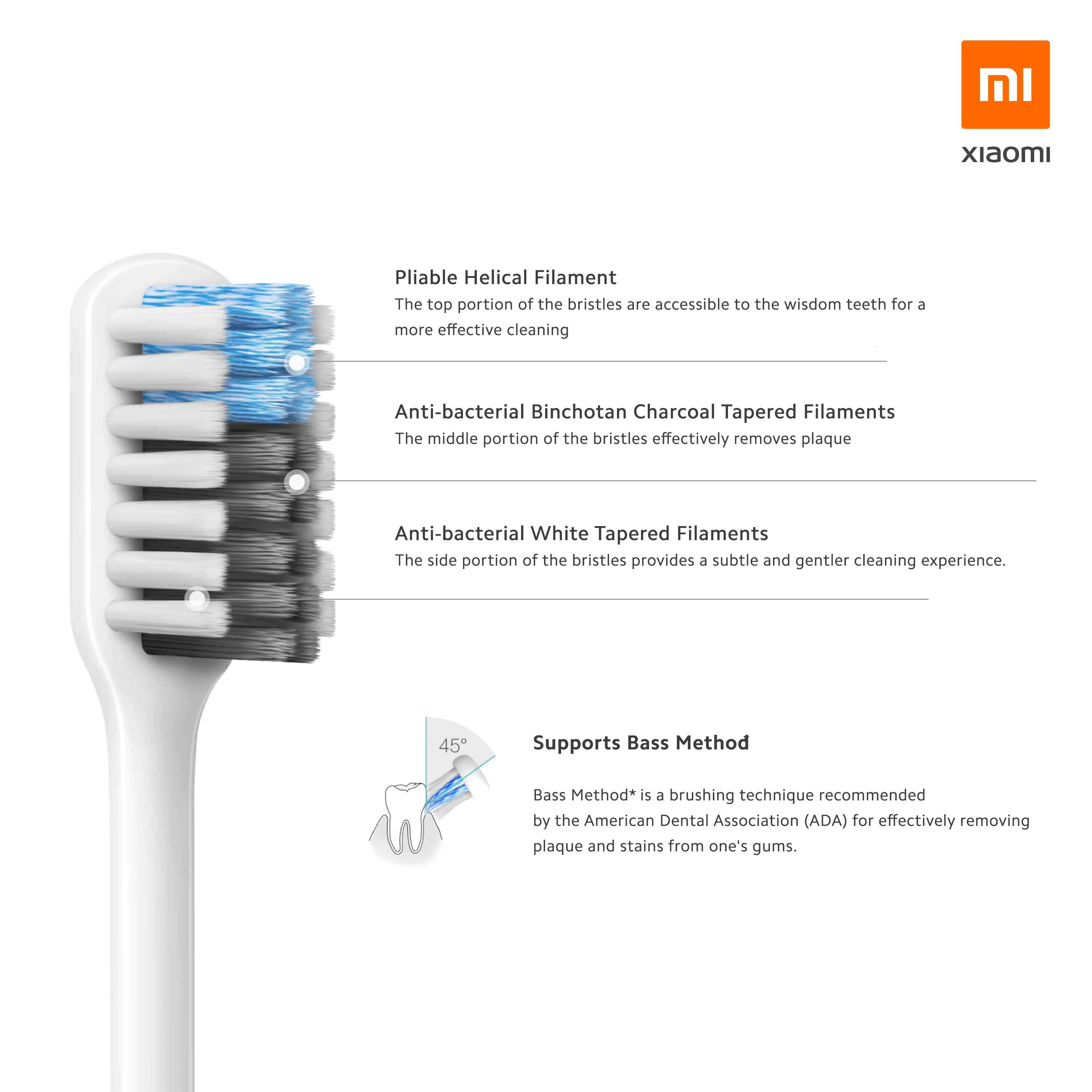 Dr. Bei Bass Travel Pack Toothbrush - Image 3